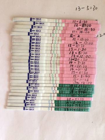 journal_insert_pic_653739451