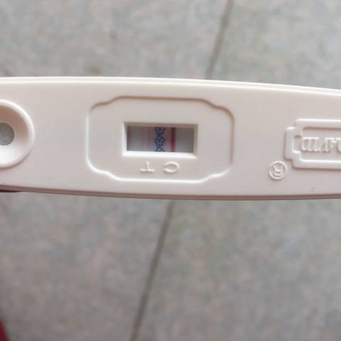 journal_insert_pic_654513464