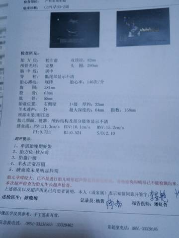 journal_insert_pic_655208913