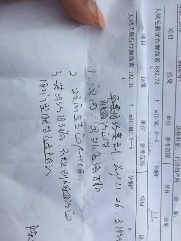 journal_insert_pic_655324235