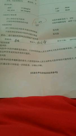 journal_insert_pic_655321464