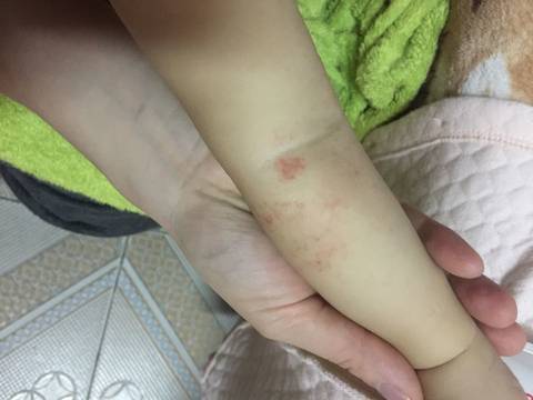 journal_insert_pic_655035206