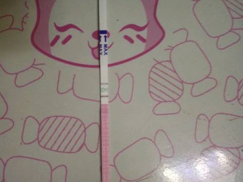 journal_insert_pic_655356896