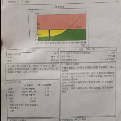 journal_insert_pic_655943898