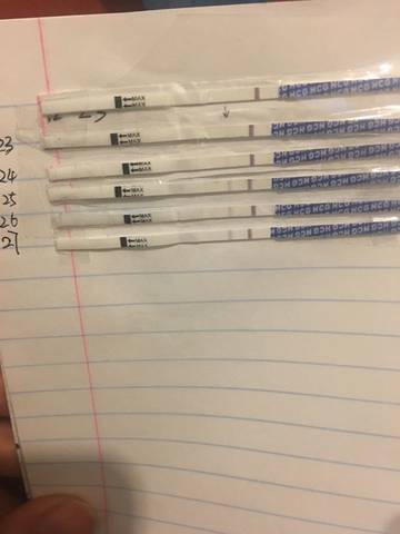 journal_insert_pic_656452405
