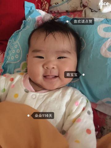 journal_insert_pic_659414894