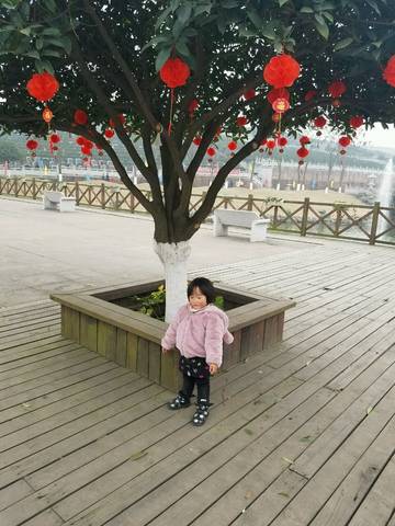 journal_insert_pic_660911933