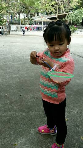 journal_insert_pic_661236620