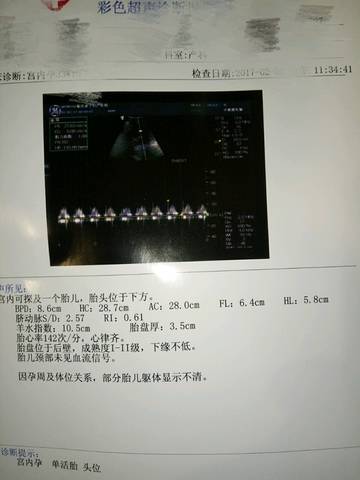 journal_insert_pic_661064425
