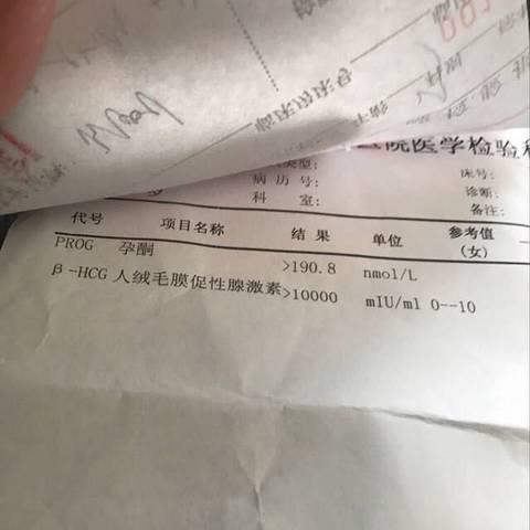 journal_insert_pic_660787458