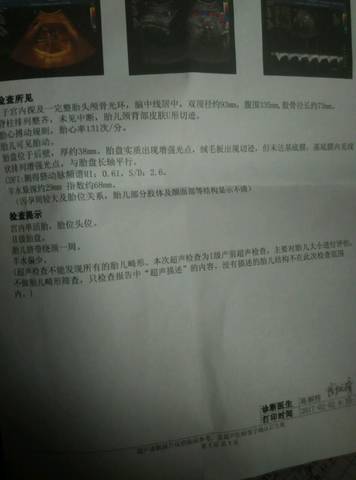 journal_insert_pic_660904739