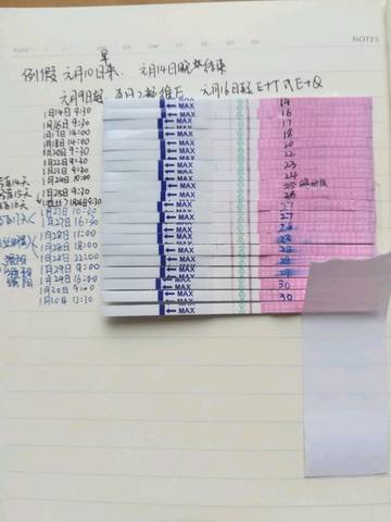 journal_insert_pic_663381871