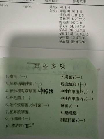 journal_insert_pic_664329425