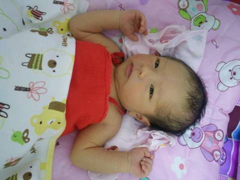 journal_insert_pic_664221161
