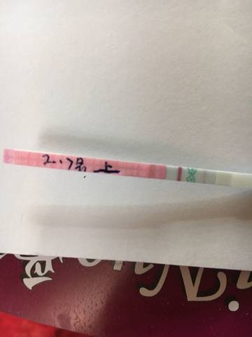 journal_insert_pic_665170734