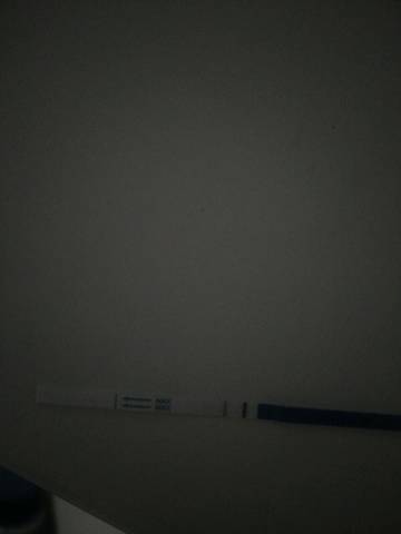 journal_insert_pic_665785005