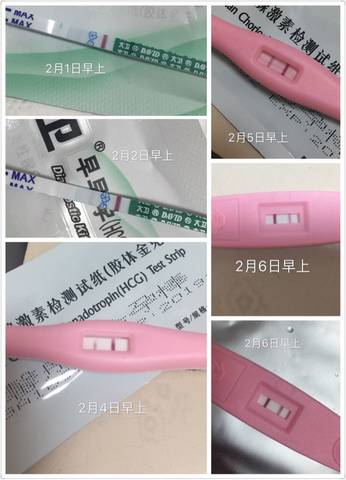 journal_insert_pic_666303474