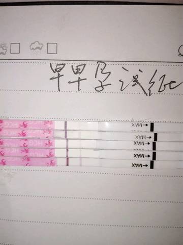 journal_insert_pic_665931414