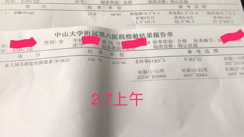 journal_insert_pic_666282301