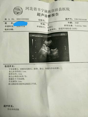 journal_insert_pic_669623107