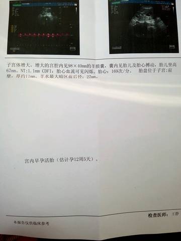journal_insert_pic_669048647