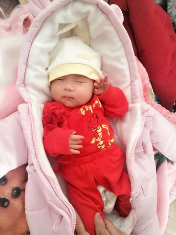 journal_insert_pic_672751036