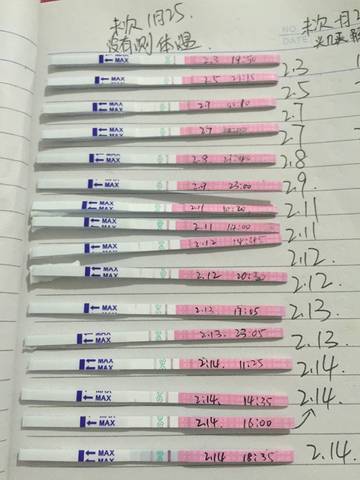 journal_insert_pic_672540106
