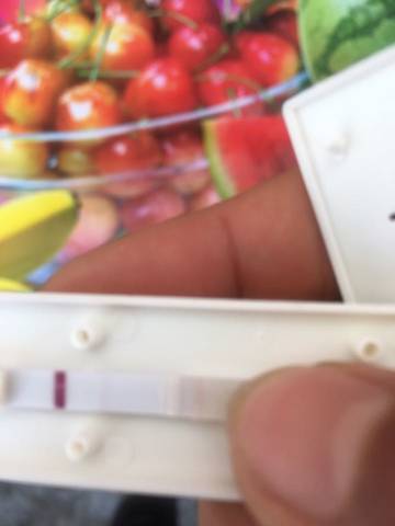 journal_insert_pic_672981733