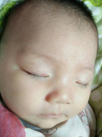 journal_insert_pic_673543833