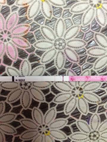 journal_insert_pic_674568934