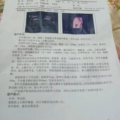 journal_insert_pic_674998537
