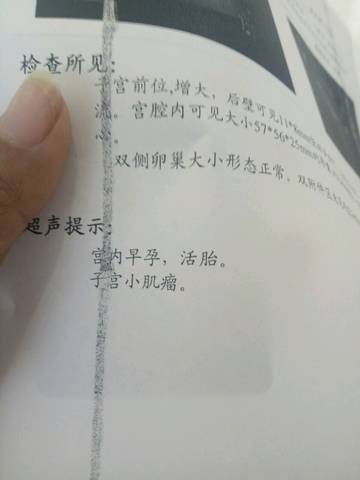 journal_insert_pic_675732734