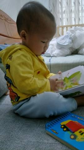 journal_insert_pic_676932150