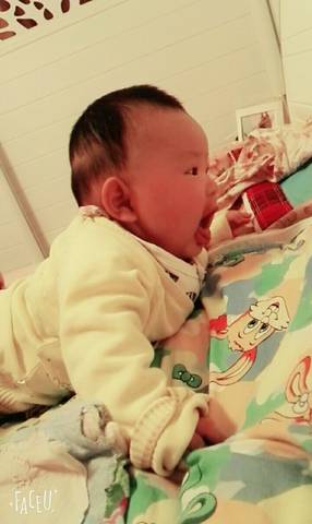 journal_insert_pic_677030214