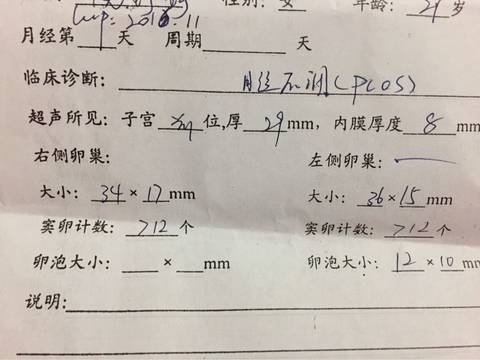 journal_insert_pic_678065099