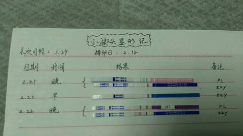 journal_insert_pic_677823019