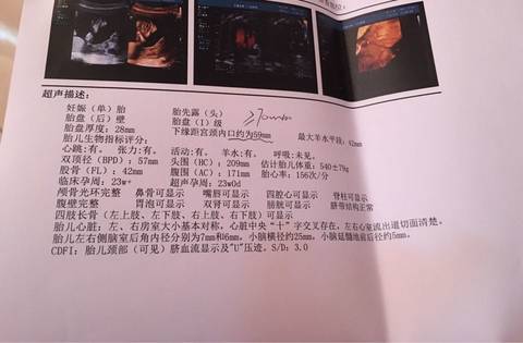 journal_insert_pic_677913431
