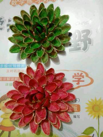 journal_insert_pic_677330507