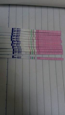 journal_insert_pic_678800815