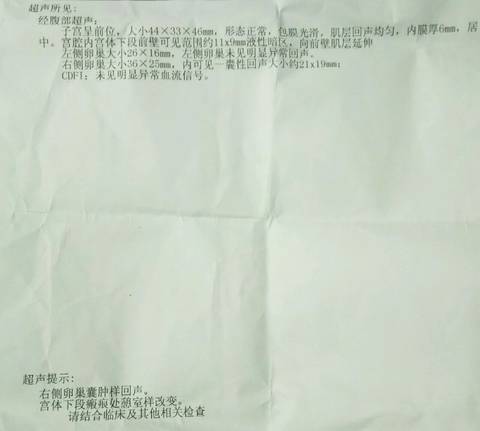 journal_insert_pic_678536080