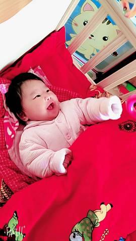 journal_insert_pic_679609284