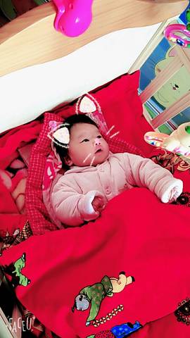 journal_insert_pic_679609247