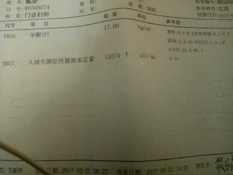 journal_insert_pic_680114639