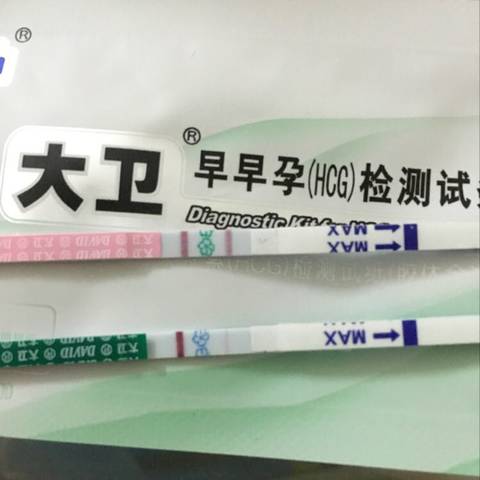 journal_insert_pic_680384964