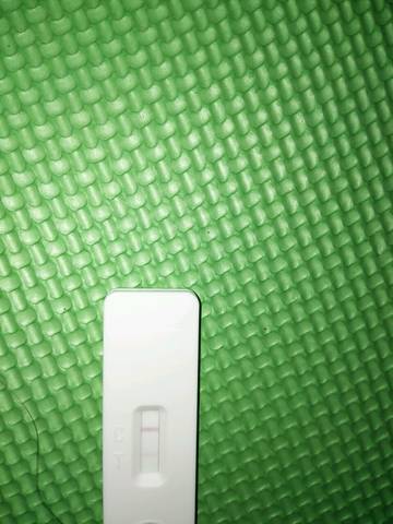 journal_insert_pic_680562570