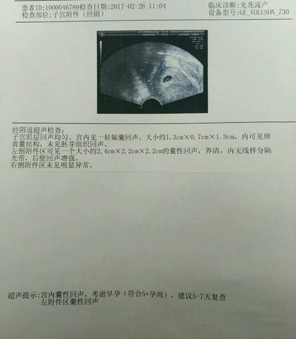 journal_insert_pic_681730126