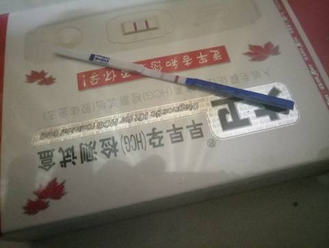 journal_insert_pic_682081839