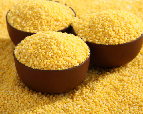 阿颖山药米粉 日记正文 小米,性味甘,微寒,因其颜色金黄,营养价值丰富