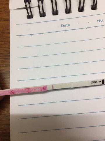 journal_insert_pic_683855617