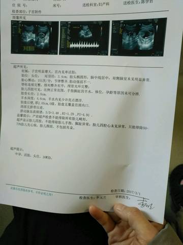 journal_insert_pic_683422977